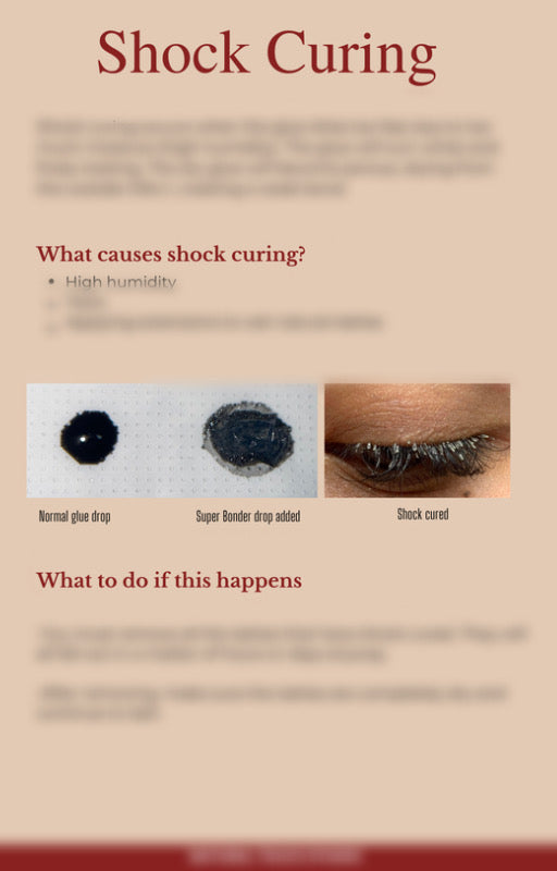Launch Your Trainings – Editable Lash Manual for Lash Bosses