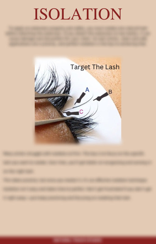 Launch Your Trainings – Editable Lash Manual for Lash Bosses
